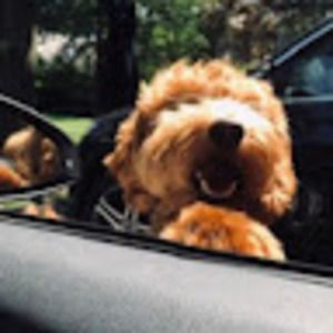 Meet your Posher, Brooke